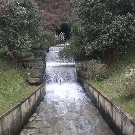 Las Gaviotas Cudillero Esterno foto
